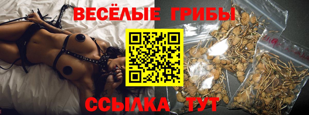 Кондопога  Галлюциногенные грибы ЛСД  Вход с VPN 
