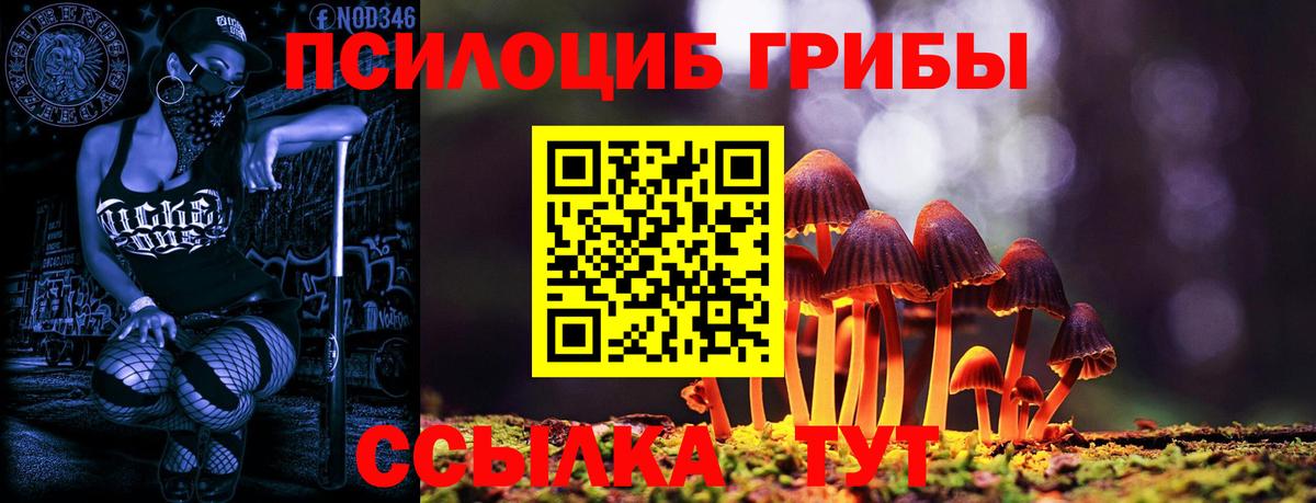 Галлюциногенные грибы GOLDEN TEACHER Кондопога